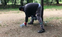 Kent Ormanı İçin Duyarlılık Çağrısı