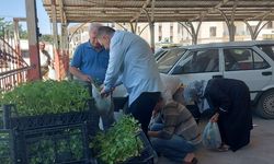 Alpullu Belediyesi’nden Kavun Fidesi Desteği
