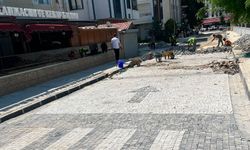 Lüleburgaz’da Çalışmalar Sürüyor