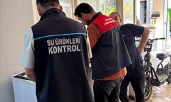 Lüleburgaz’da Su Ürünleri Denetimleri Sürüyor