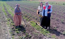 Kadın Çiftçilere Sahada Teknik Destek