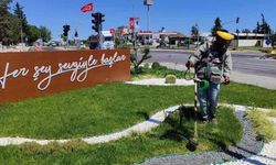 Yeşil Alanlarda Bakım Çalışmaları Sürüyor