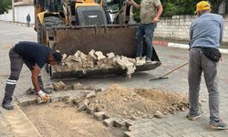 Kavaklı’da Belediye Hizmetleri Aralıksız Sürüyor