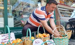 Elma büyüklüğündeki kayısılar tezgâhta ilgi görüyor