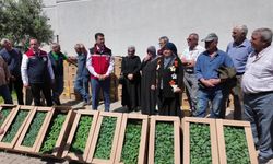 Tekirdağ'da 407 üreticiye 256 bin yazlık sebze fidesi dağıtıldı