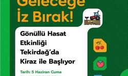 Tekirdağ'da gönüllü hasat etkinliği kirazla başlıyor
