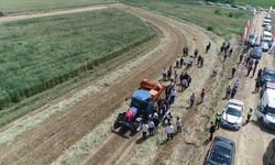 Edirne'de meralarda yeni model: Üretimden elde edilen gelir yine meraya yatırılacak