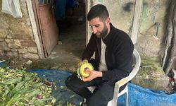 Enginar soyarak ayda 240 bin lira kazanıyor