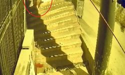Böyle hırsızlık görülmedi: Dükkan sahibi şok oldu