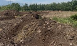 Organik gübre fiyatları geçen yıl ile aynı
