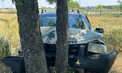 Babaeski'de ağaçlara çarpan otomobilin sürücüsü yaralandı