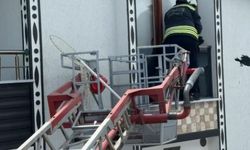Balkona sıkışan kargayı itfaiye kurtardı