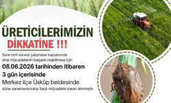 Kırklareli'nde süne alarmı: Üreticilere 3 günlük ilaçlama çağrısında bulunuldu