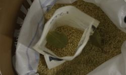 Tescilli Karacadağ pirinci testten geçti: Pestisit yok, protein yüksek