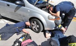 Otomobilin motor kısmındaki kediyi itfaiye çıkardı