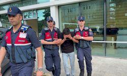 Televizyon hırsızlığı zanlısı, jandarma ekiplerince yakalandı