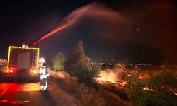 Hatay'da anız yangını zeytinliğe sıçradı: 200 dönüm arazi zarar gördü