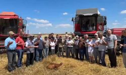 Edirne'de buğday hasadı dualarla başladı