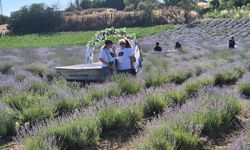Tekirdağ'da Lavanta Şenliği başladı