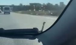 Seyir halindeki aracın kaputunda yılan paniği