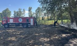 Muratlı'da buğday tarlasında yangın