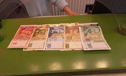Levaları ücretsiz euroya çevirme süresinde son gün