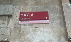 Yaz Mevsimi Yayla’yı Canlandırdı