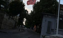 Türk Bayrağı Süslüyor