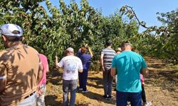 Engelli Bireyler Kiraz Hasadına Katıldı