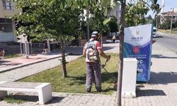Lüleburgaz'da Temizlik Çalışmaları Aralıksız Sürüyor
