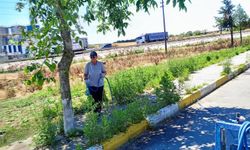 Büyükkarıştıran'da Temizlik ve İlaçlama Çalışmaları Sürüyor