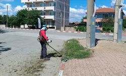 Evrensekiz'de Ot Biçme Mesaisi Başladı