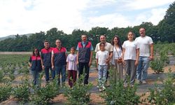 Kaymakam Özderin'den Yaban Mersini İşletmesine Ziyaret
