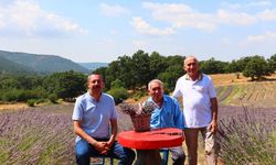 Kaymakam Özderin'den Lavanta Bahçesine Ziyaret