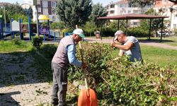 Lüleburgaz'da Çevre Temizliği Çalışmaları Sürüyor