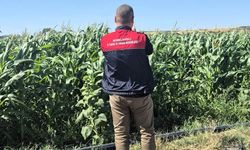 Lüleburgaz'da Referans Parsel Çalışmaları Sürüyor
