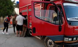 Kırklareli'nde Kaçak Hayvan Sevkine Geçit Verilmedi