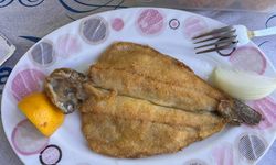 Alabalık Tutkusundan Geçilmiyor
