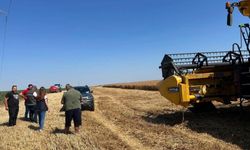 Kırklareli'nde hasat sezonunda biçerdöver denetimleri sürüyor