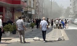Lüks araç alevlere teslim oldu