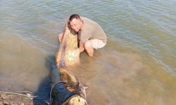 Tekirdağ'da 157 kiloluk yayın balığı yakalandı