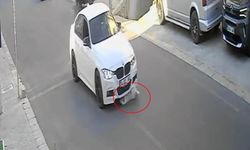 Tekirdağ'da mahallenin maskotu Yumak'a araba çarptı