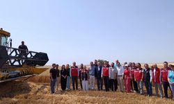 Tekirdağ'da bitkisel yağ üretiminde gıda güvenliği mercek altında