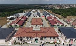 Tekirdağ'da 5 binden fazla sahipsiz hayvana umut oldular