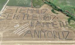 Tarlaya "15 Temmuz şehitlerimizi rahmetle anıyoruz" yazdı