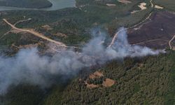 Anızdan ormana sıçrayan yangın dron ile görüntülendi