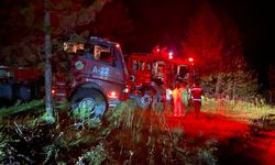 Kastamonu'daki orman yangını kontrol altına alındı