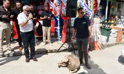 Tekel bayiyi dualarla açan imam: "Neresi olduğunu bilmeden gittim"