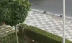 Seyir halindeki araçları taşladılar