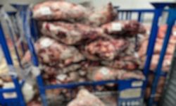 Lüleburgaz'da uygunsuz şartlarda saklanan 4 ton 600 kilo ete el konuldu